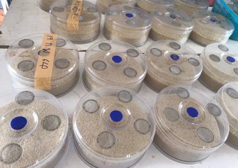 ศจช. ดอนฉิมพลี_210304_78