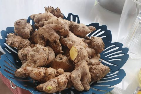 176977523_299859258271710_630876000162263707_n