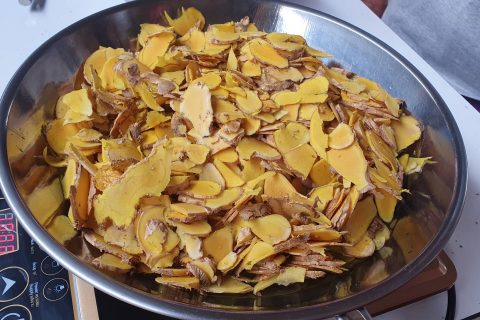 177230300_299859111605058_4546269702739768877_n