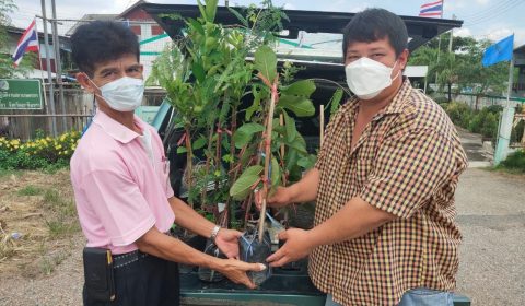 238356941_376023327321969_2547762739205672667_n