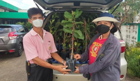 238875511_376023737321928_7307643273046350739_n