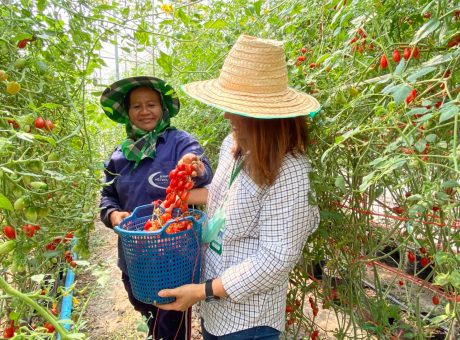 KM ผญ_10.เพย_๒๑๐๒๑๕