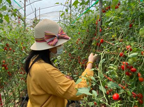 KM ผญ_13.เพย_๒๑๐๒๑๕