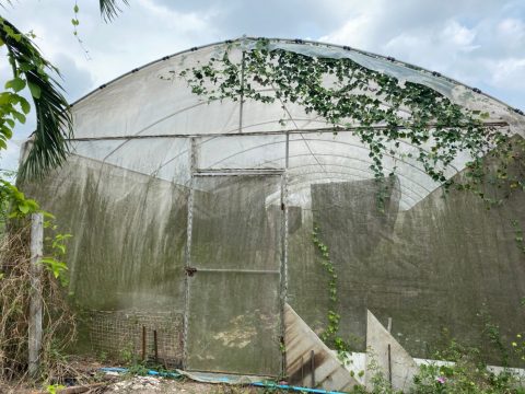 KM ผักปลอดภัย_210407_0