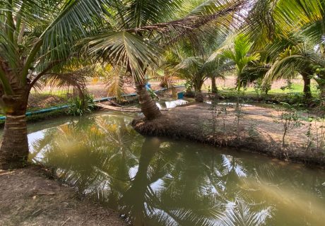 KM สวนมะพร้าว_210308_15