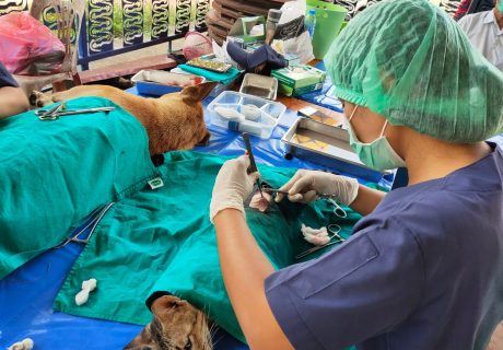 คลินิกเกษตร_210224_14