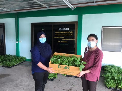 แจกกล้าผักสวนครัว_210506_6