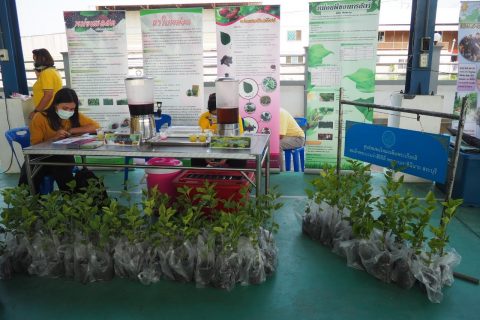 คลินิกเกษตร บางปะกง_๒๑๐๓๒๓_4