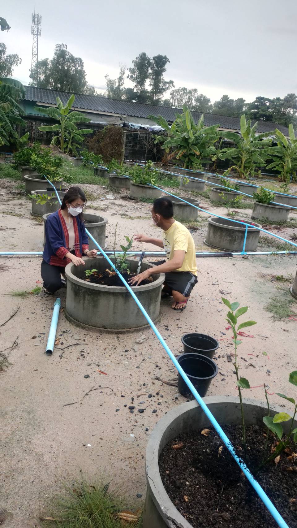 ลงพื้นที่เยี่ยมเยียนเกษตรกรในพื้นที่ตำบลบางสมัคร