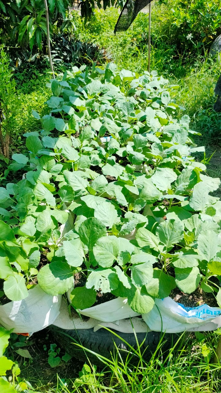 ลงพื้นที่ติดตามเยี่ยมเยียนเกษตรกรตำบลบางสมัคร