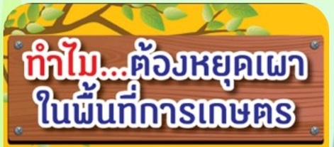 เกษตรกรยุคใหม่ ร่วมใจหยุดเผา