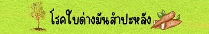 โรคใบด่างมันสำปะหลัง