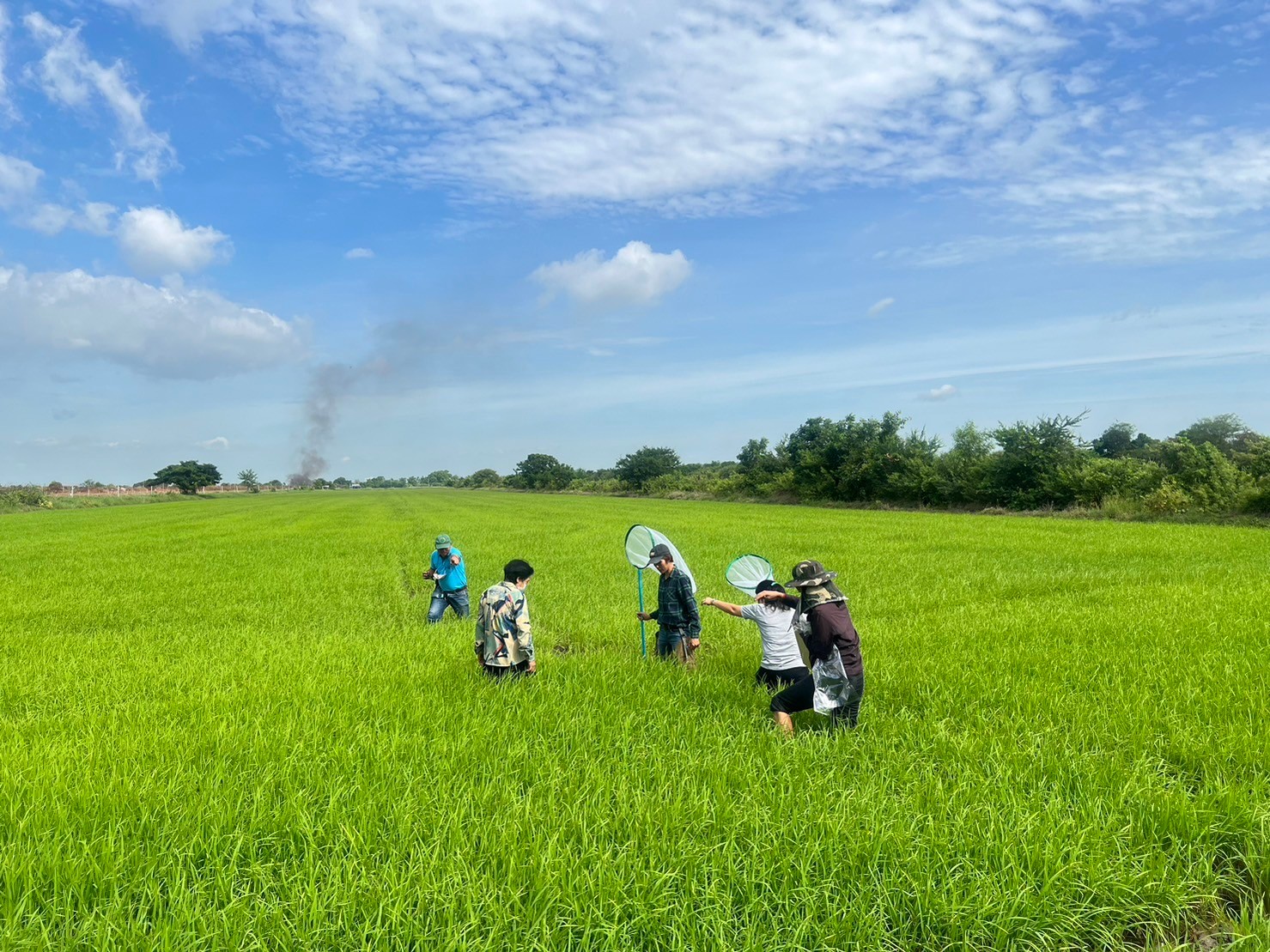 จัดกระบวนการเรียนรู้ตามกระบวนการโรงเรียนเกษตรกรด้านการบริหารจัดการศัตรูข้าว ครั้งที่ 4/2566