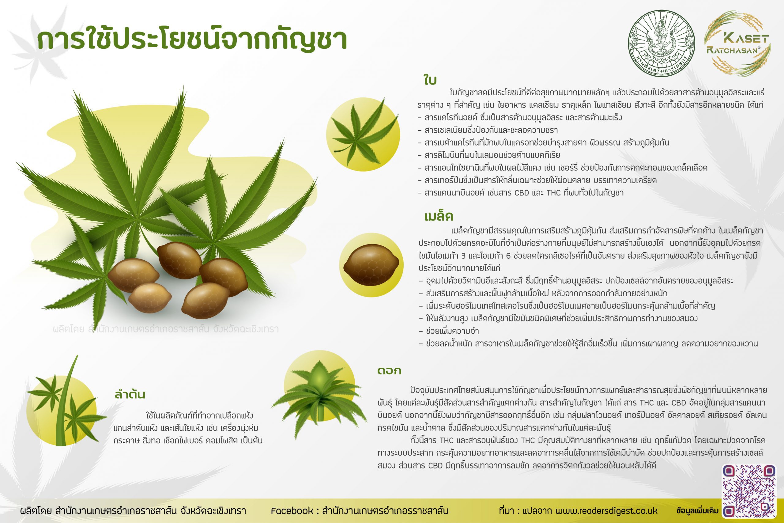ประโยชน์ของกัญชา สำนักงานเกษตรอำเภอราชสาส์น